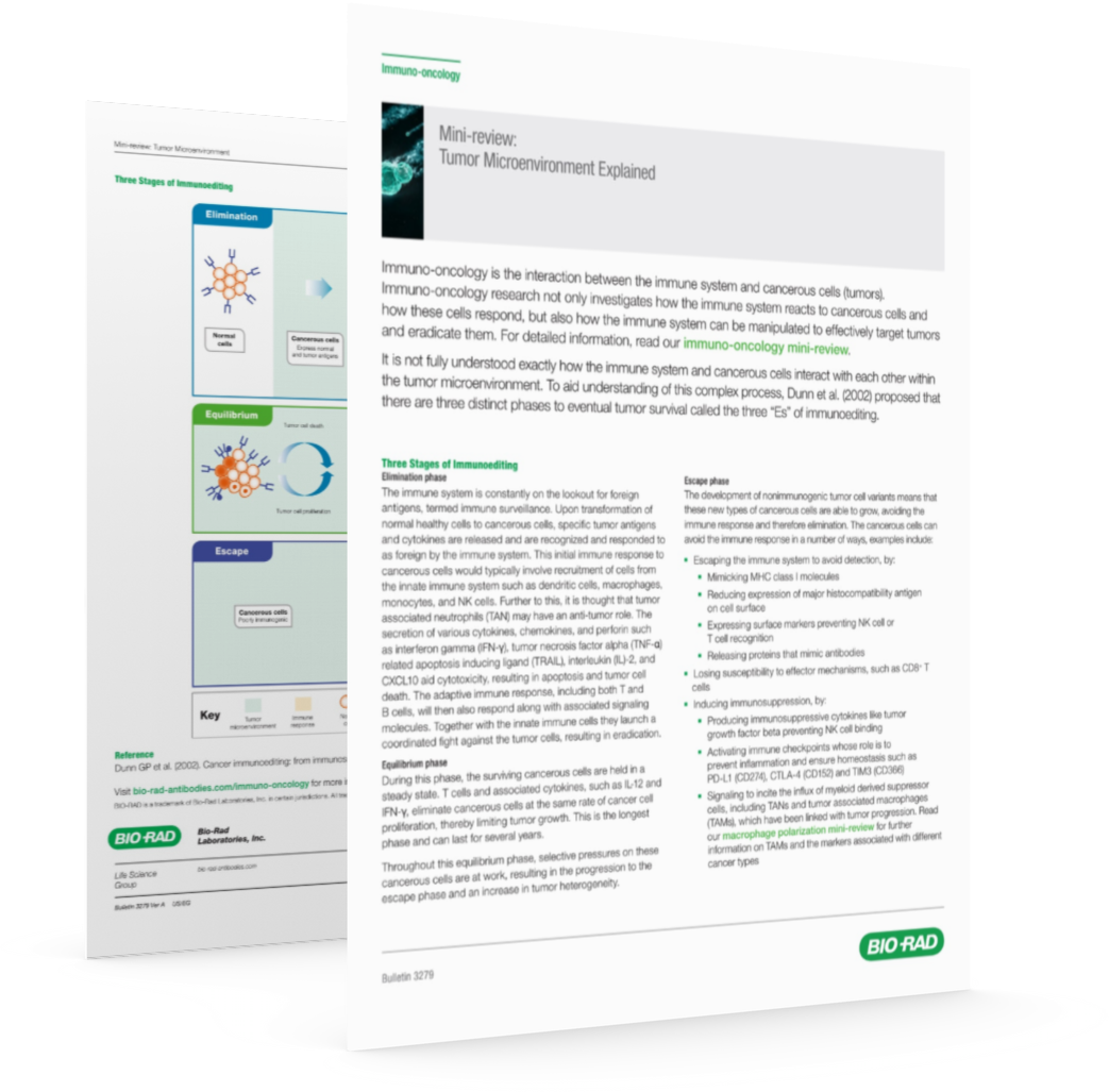 Tumor Microenvironment Explained